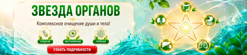 звезда органов