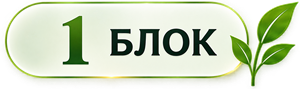 1 блок