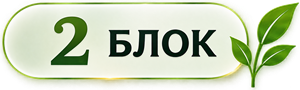 2 блок