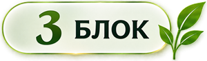 3 блок