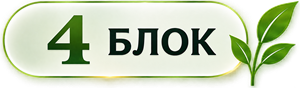 4 блок