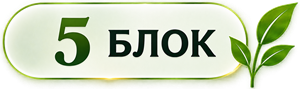5 блок