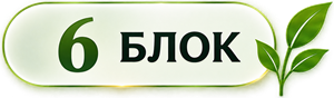 6 блок