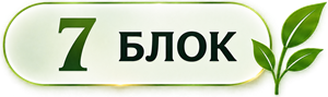 7 блок